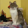 Отзыв от Лия Белоусова